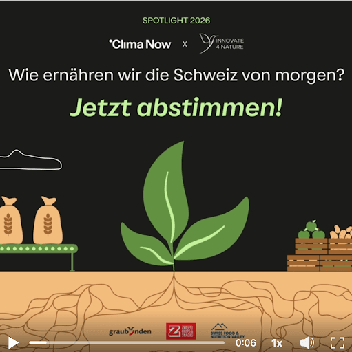 Visual zur Abstimmung