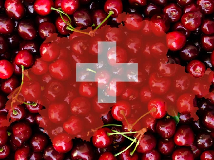 Fruits suisses, je sais pourquoi ?