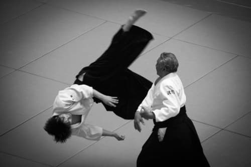Rhetorisches Aikido - Oder wie Sie erfolgreich gegen Stammtischparolen argumentieren