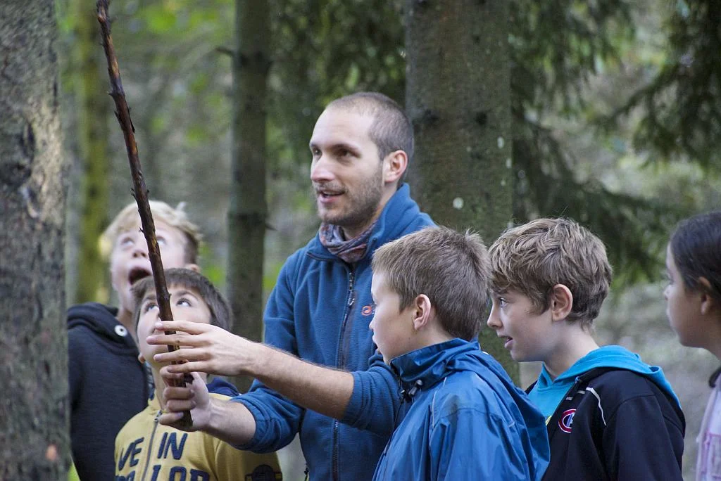 grundlagen_forstliche_waldpaedagogik.jpg Thumbnail