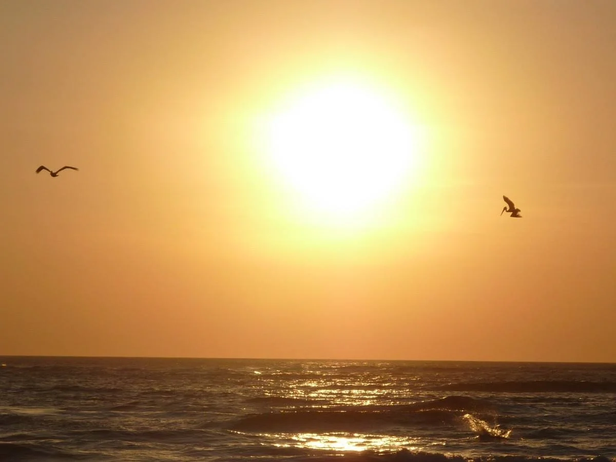 Stillness Silence Simplicity - 5 Rhythmen® Tanz & Meditation Thumbnail