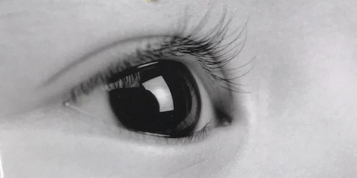 Auge