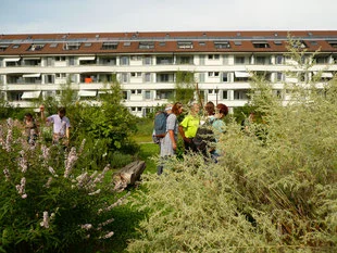 Eine Gruppe diskutiert im Stadtgarten