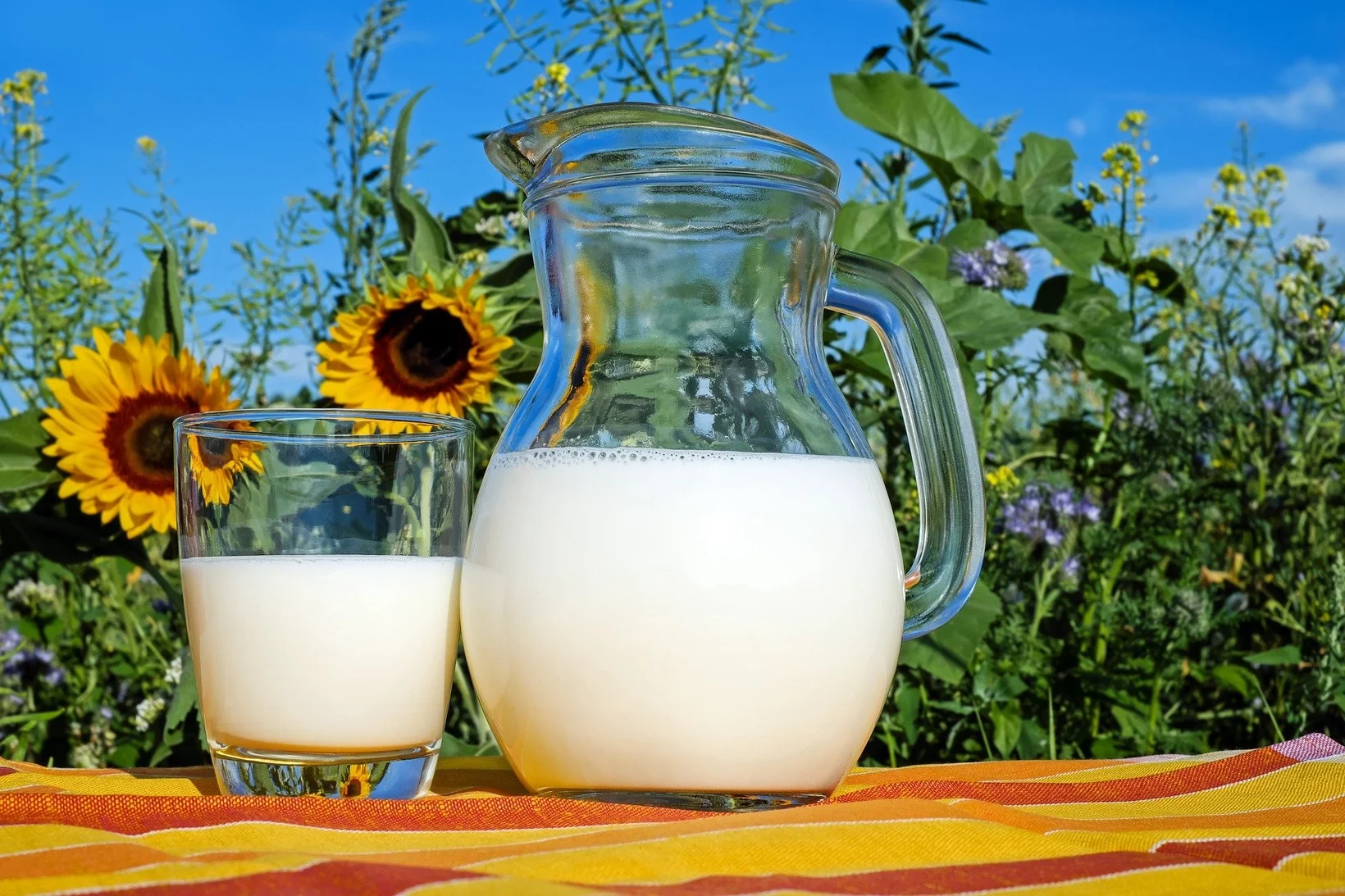 Vegane Bauernhöfe