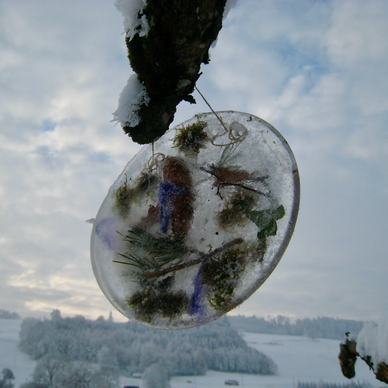 Eiskristalle