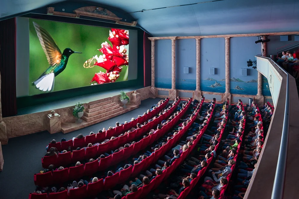 Filmfestival 27., 28., & 30. Oktober 2022