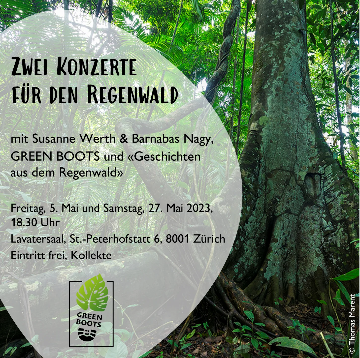 Klavier, Geige, Komponiertes, aber auch Improvisiertes, zwei Organisationen, Infos und ein Regenwaldquiz. Mit Susanne Werth, Barnabas Nagy, GREEN BOOTS und «Geschichten aus dem Regenwald»