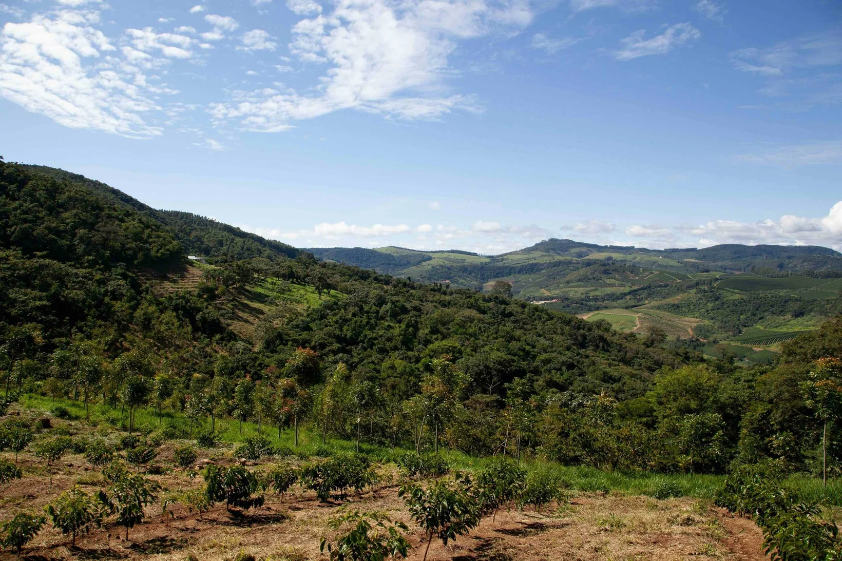 biodiversity