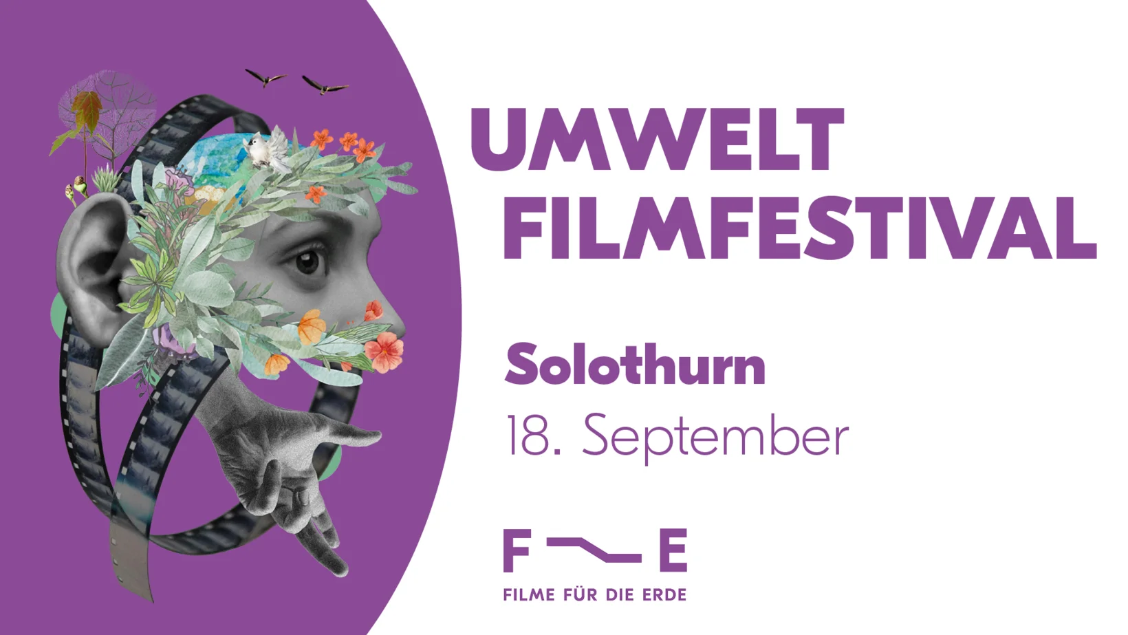 Umweltkino in Solothurn