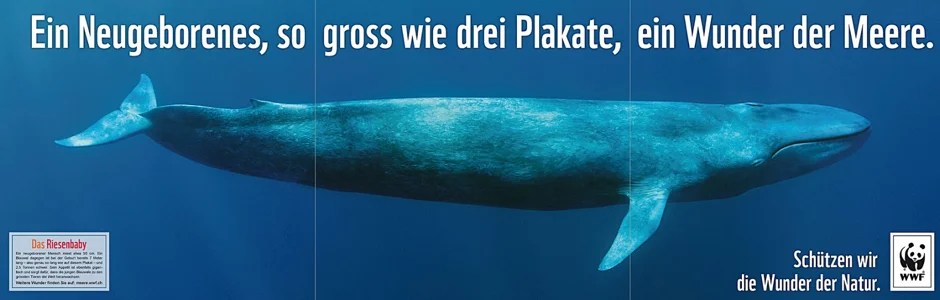 Wunder der Natur