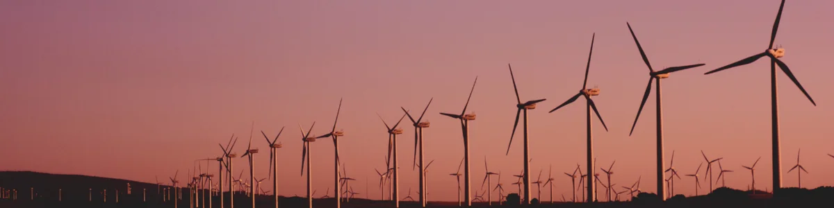 viele Windräder im Abendrot