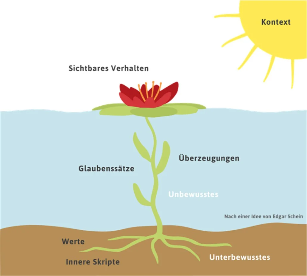 Seerose - Bernd Oestereich