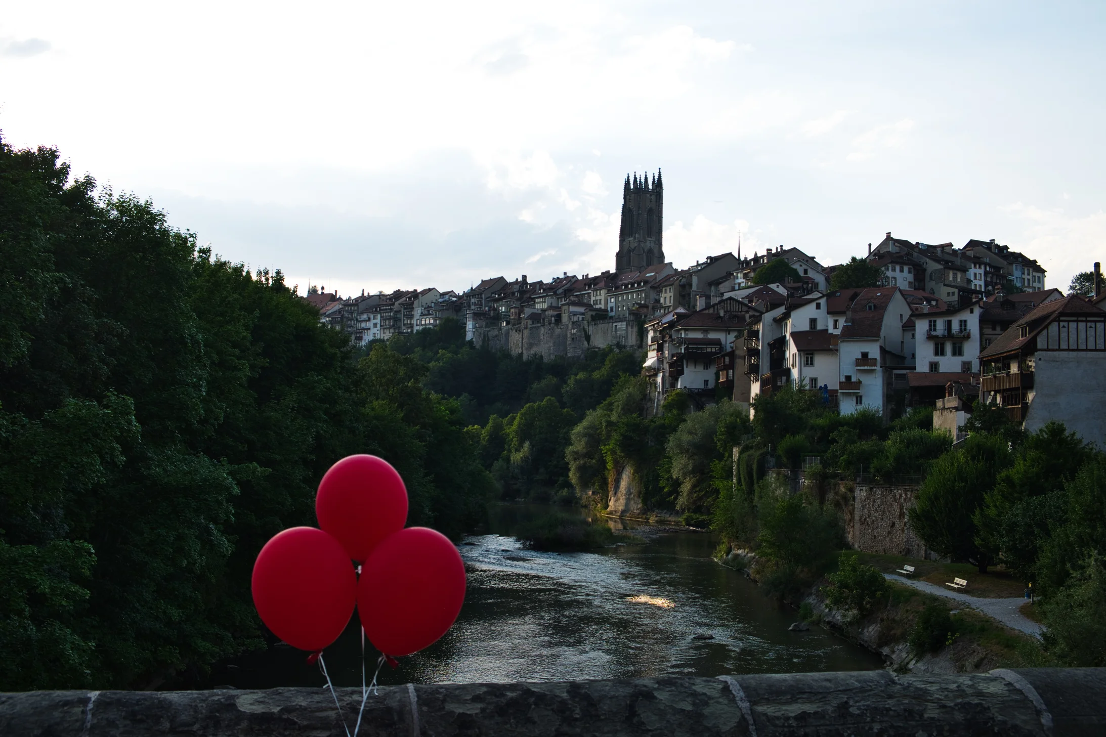 Fribourg Sarine et Cathédrale