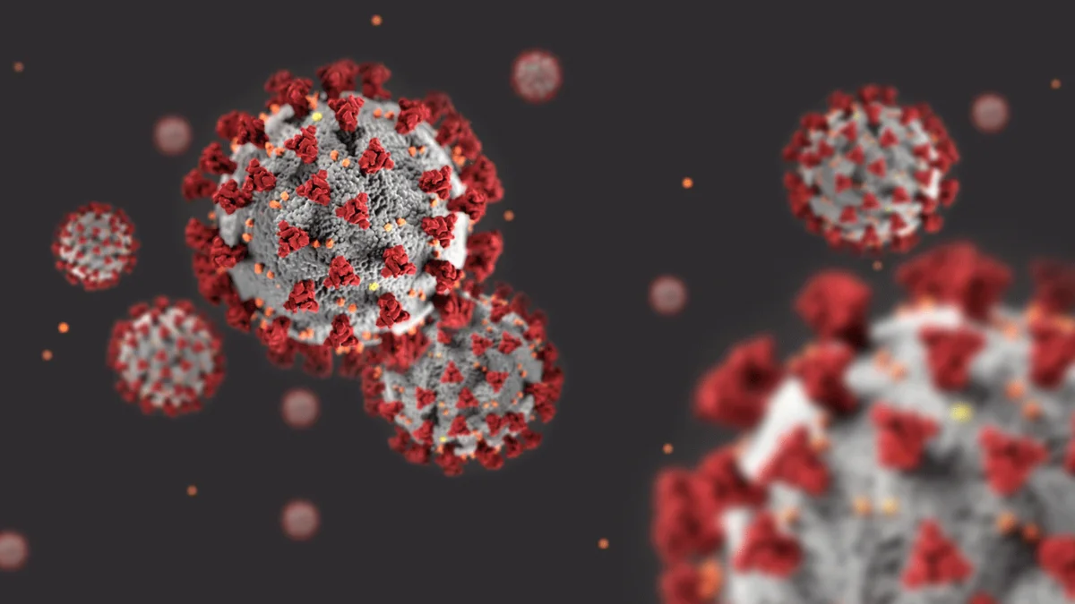 Korona, Komplexität und Kampagnen