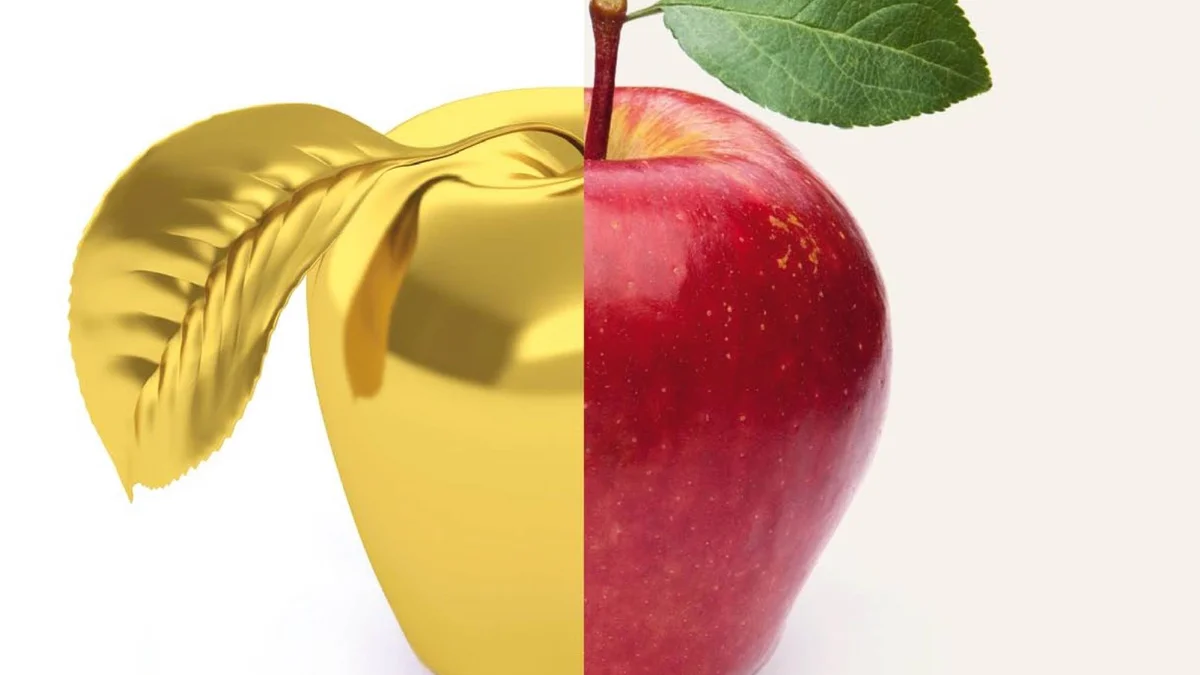 CAS Corporate Responsibility