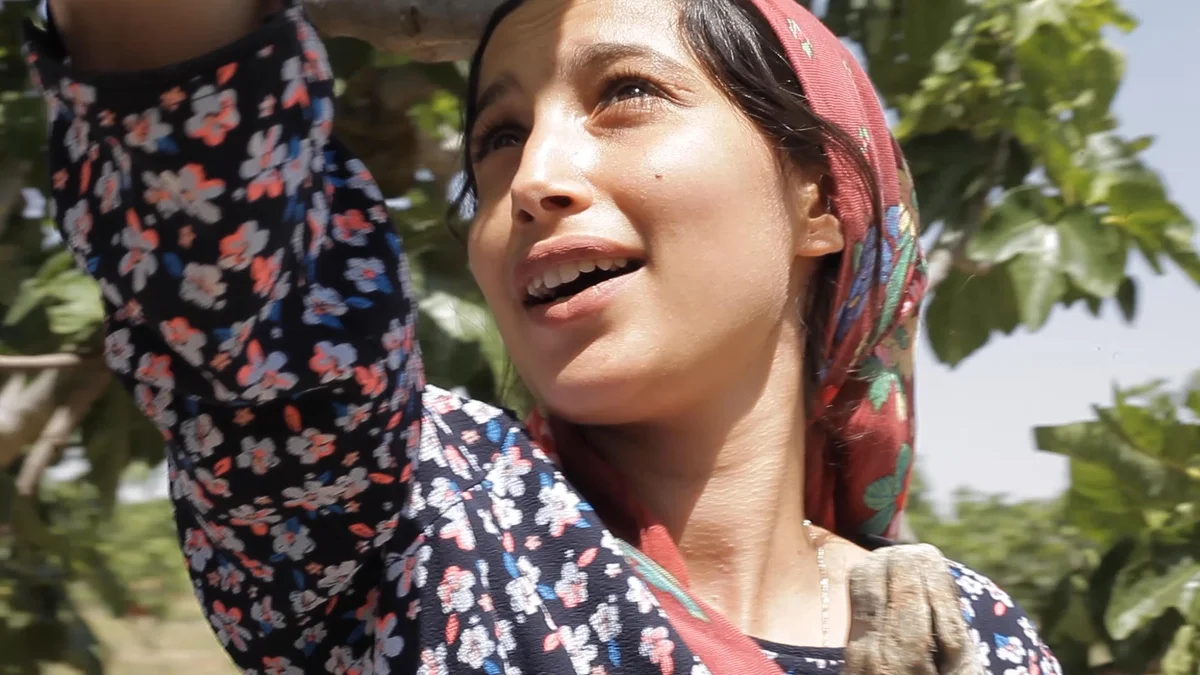 «Under the Fig Trees» ab 4. Mai im Kino