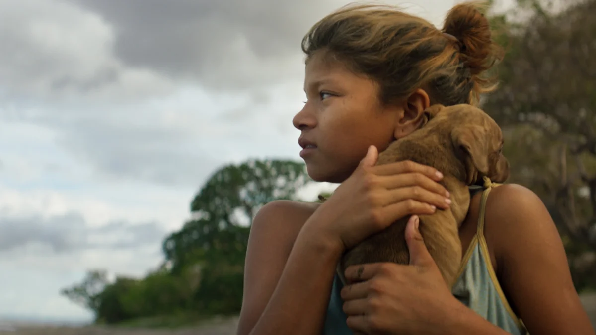 Laura Baumeister beschreibt das heutige Nicaragua mit der bewegenden Geschichte eines auf sich gestellten Mädchens, das versucht, seine Mutter zu finden.