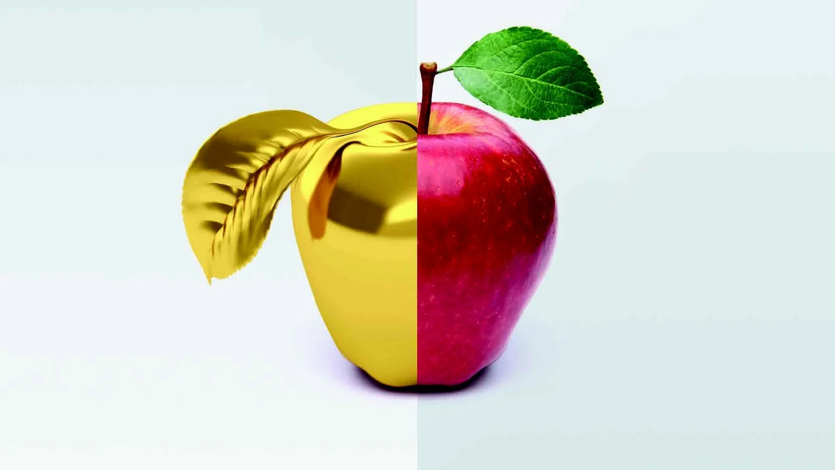 CAS Corporate Responsibility