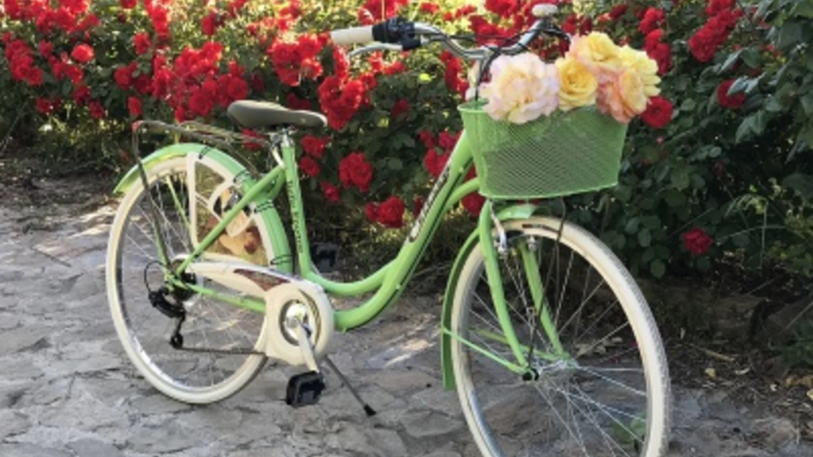 velo