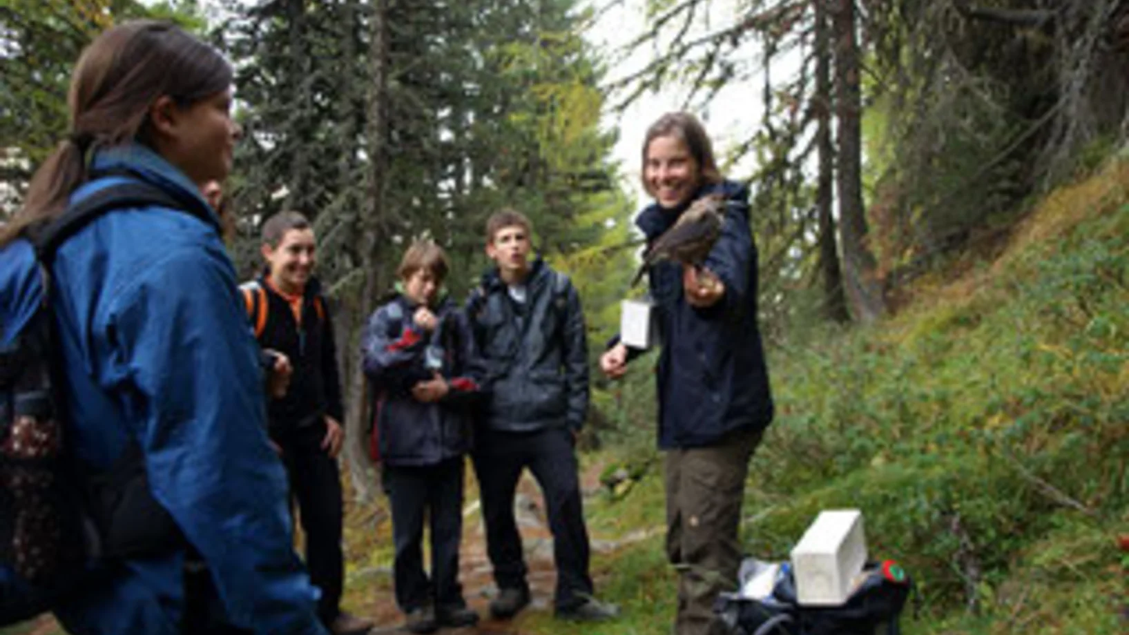 Umweltbildung in den Alpen