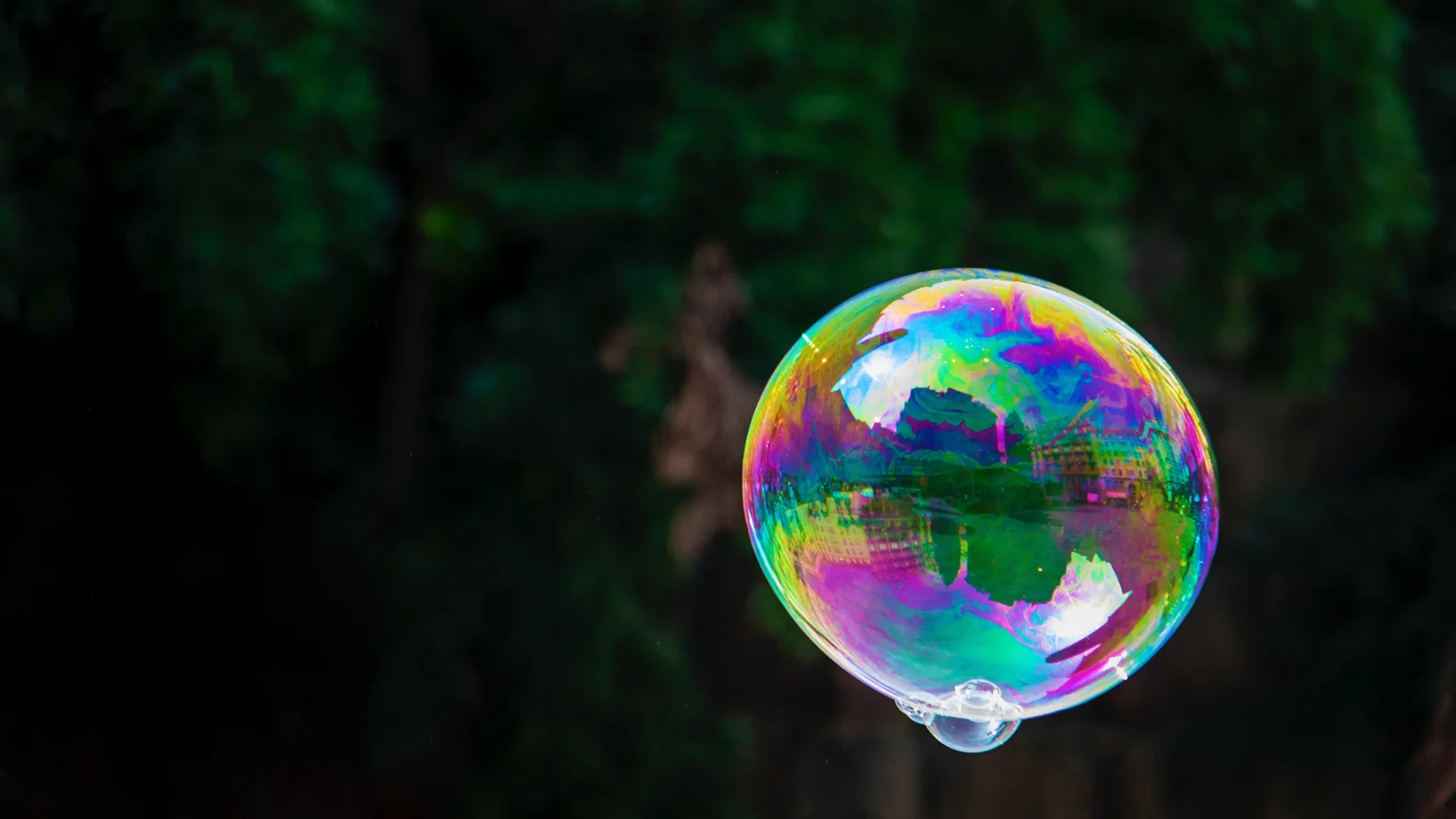 Bubble by Nick Fewings